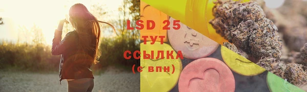 стаф Протвино
