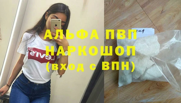 стаф Протвино